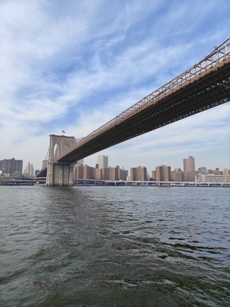 Downtown Manhattan naar Brooklyn tour
