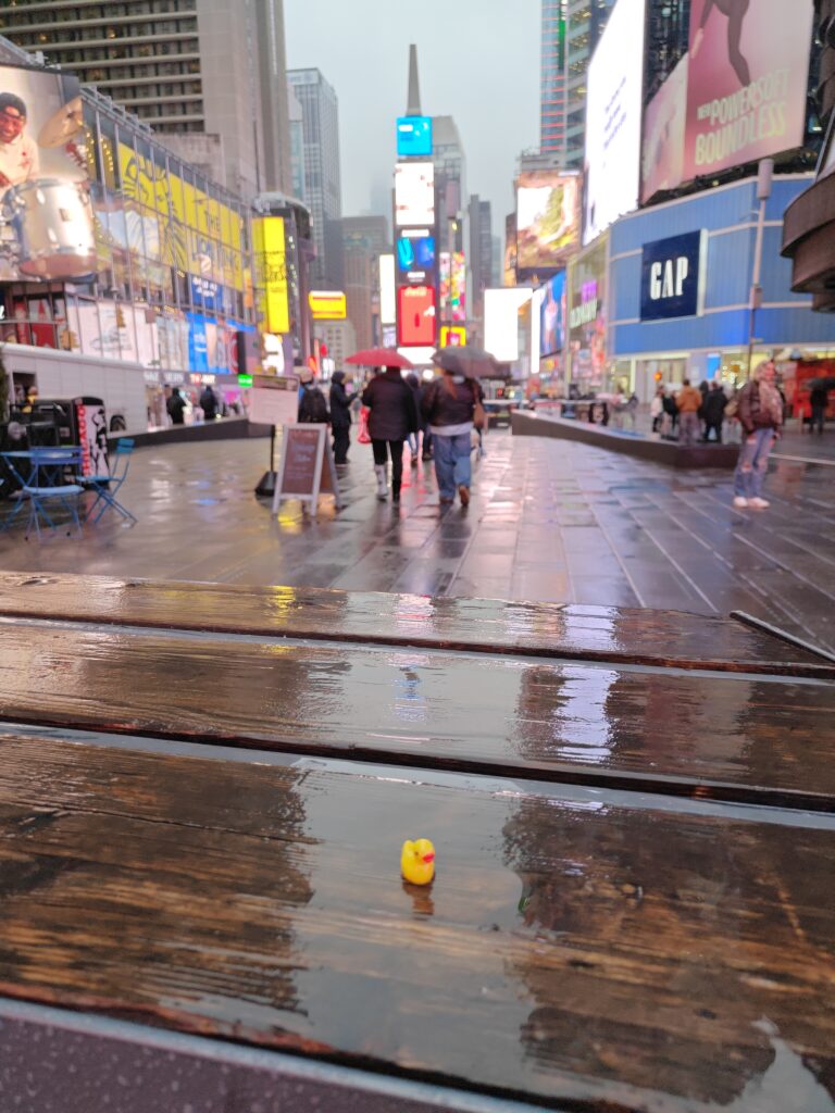 Times Square New York overdag