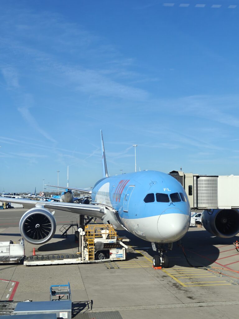 TUI flight