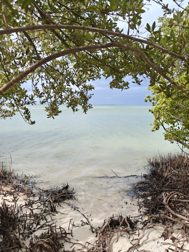 Isla Pasión bij Holbox Mexico