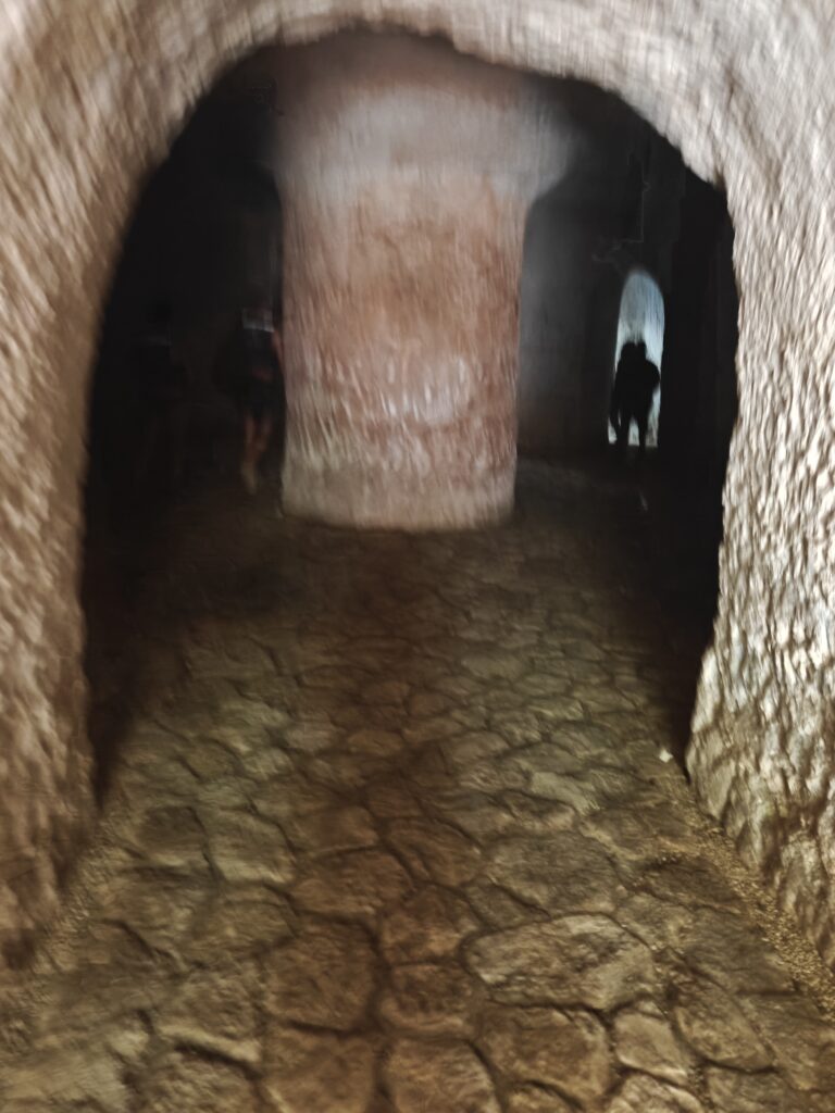 Zwemmen in een cenote tijdens onze Chichén Itzá excursie