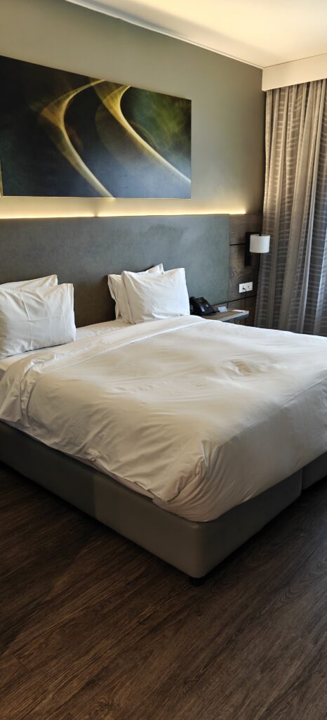 Radisson Hotel OR Tambo Johannesburg kamer