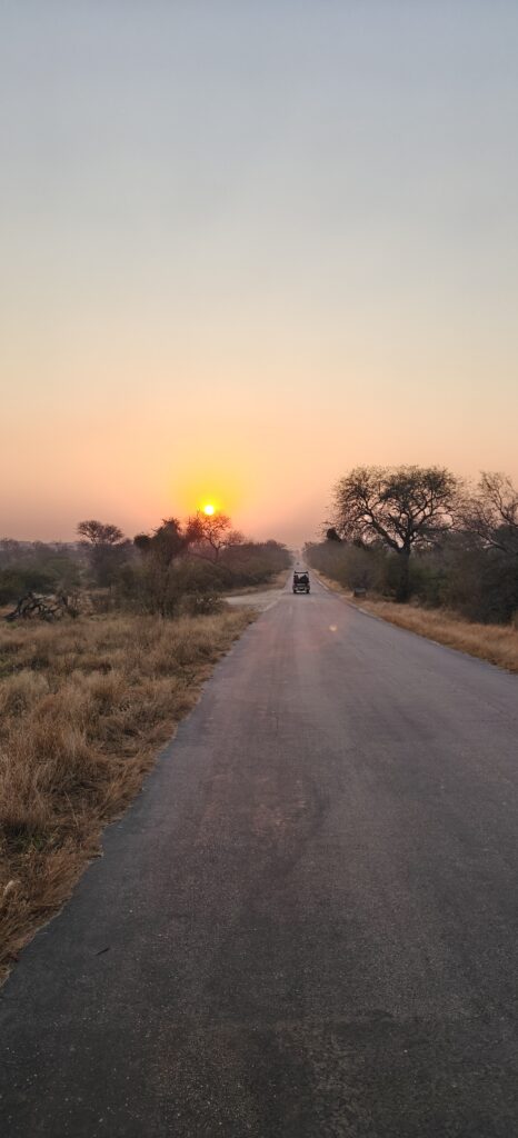 Zonsopgang tijdens safari Kruger National Park
