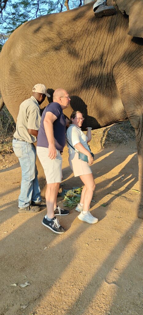 Afrikaanse olifant aanraken bij Elephant Whispers Hazyview