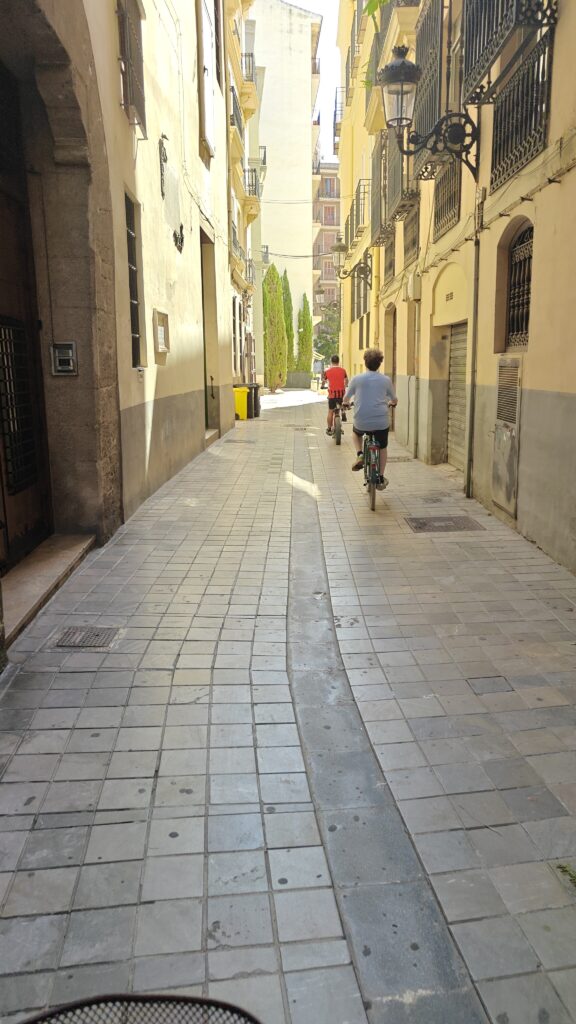 Fietsen in Valencia